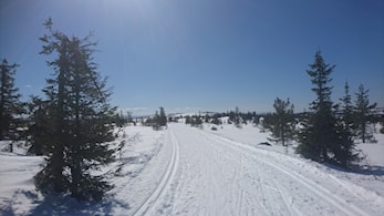 Budorrennet 6 januar 2018